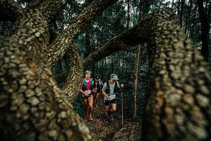 BIB: 
                            <button type="button" onclick="openModal(25674088)" class="btn btn-primary btn-sm float-right btn-popup" data-toggle="modal" data-target=".modal-high-quality">
                        <i class="fas fa-shopping-cart"></i> Add to Cart
                    </button>
                                            <button type="button" onclick="isThisMe(25674088, true)" class="btn btn-success btn-sm float-right btn-popup btn-isme hidden" data-toggle="tooltip" data-placement="bottom" title="นี่คือรูปของคุณใช่ไหม คลิกที่นี่เพื่อเอาเข้าอัลบั้ม">
                        <i class="fas fa-plus"></i> Add to album
                    </button>
                    <button type="button" onclick="isThisMe(25674088, false)" class="btn btn-warning btn-sm float-right btn-popup btn-isnotme hidden">
                        <i class="fas fa-ban"></i> Remove from album
                    </button>